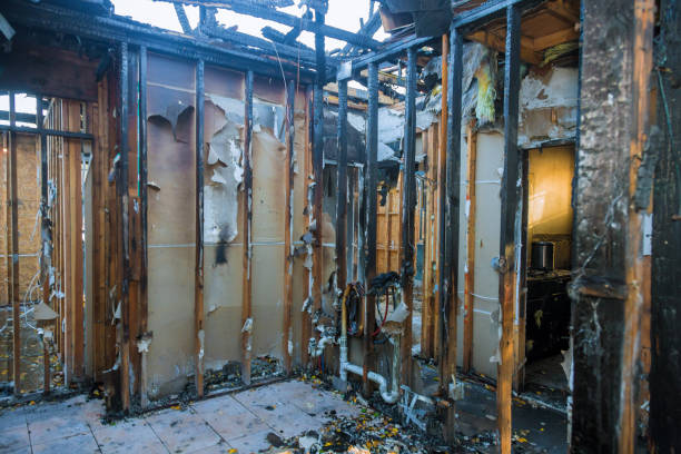 Professional Soot Cleanup technician working in Minneota, MN